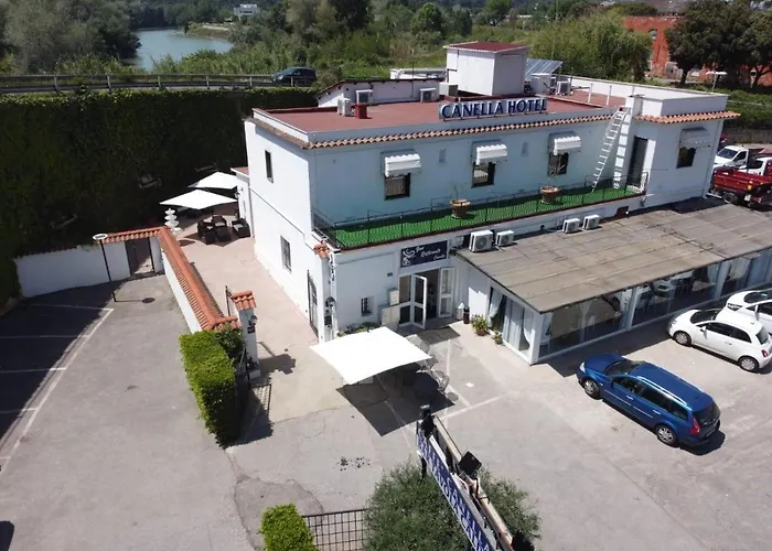 Canella *